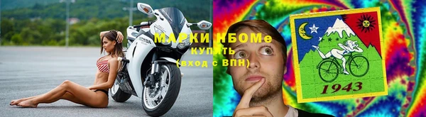 ГАЛЛЮЦИНОГЕННЫЕ ГРИБЫ Магас