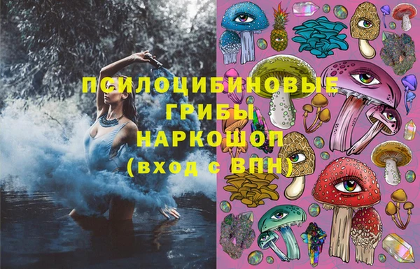 ГАЛЛЮЦИНОГЕННЫЕ ГРИБЫ Магас
