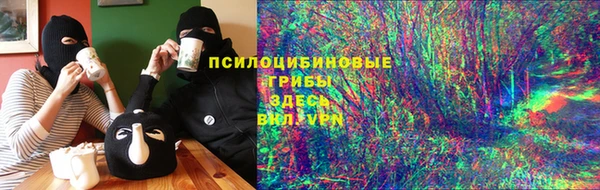 ГАЛЛЮЦИНОГЕННЫЕ ГРИБЫ Магас
