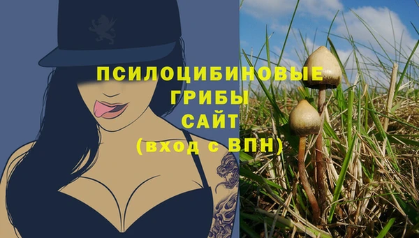 ГАЛЛЮЦИНОГЕННЫЕ ГРИБЫ Магас