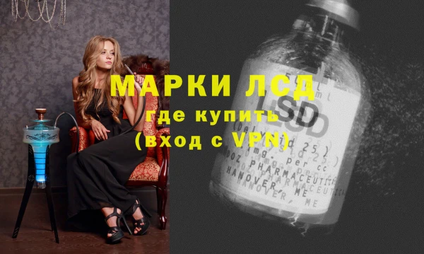 ГАЛЛЮЦИНОГЕННЫЕ ГРИБЫ Магас