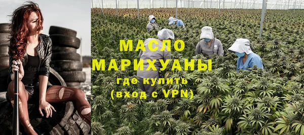 сатива Магадан