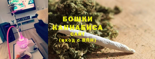 ГАЛЛЮЦИНОГЕННЫЕ ГРИБЫ Магас
